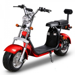 Elektrinis motoroleris Citycoco ER-1.6 20 Ah (viena baterija) Raudonas